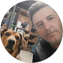 Dževad Šabotić profile picture